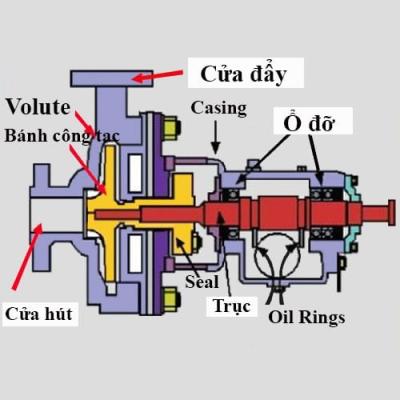 Tìm hiểu nguyên lý hoạt động của bơm màng